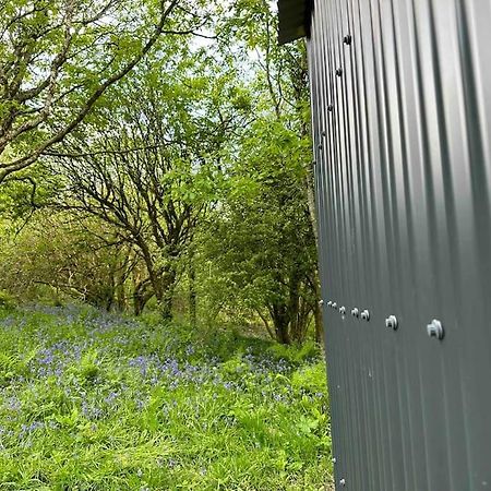 Cornwall Woodland Shepherd'S Hut - Dennis Hut Бодмин Екстериор снимка