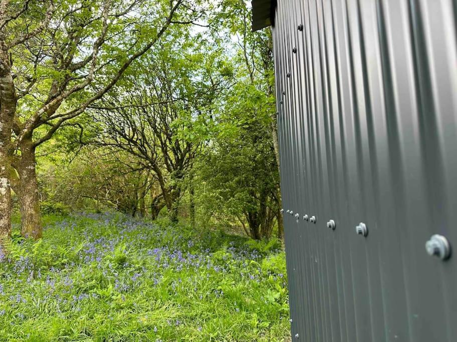 Cornwall Woodland Shepherd'S Hut - Dennis Hut Бодмин Екстериор снимка