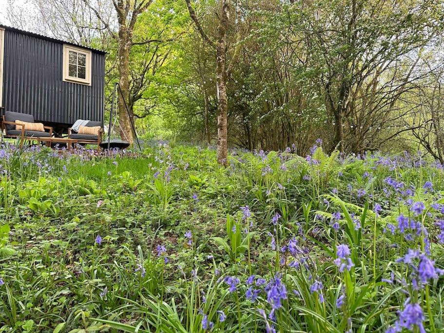 Cornwall Woodland Shepherd'S Hut - Dennis Hut Бодмин Екстериор снимка