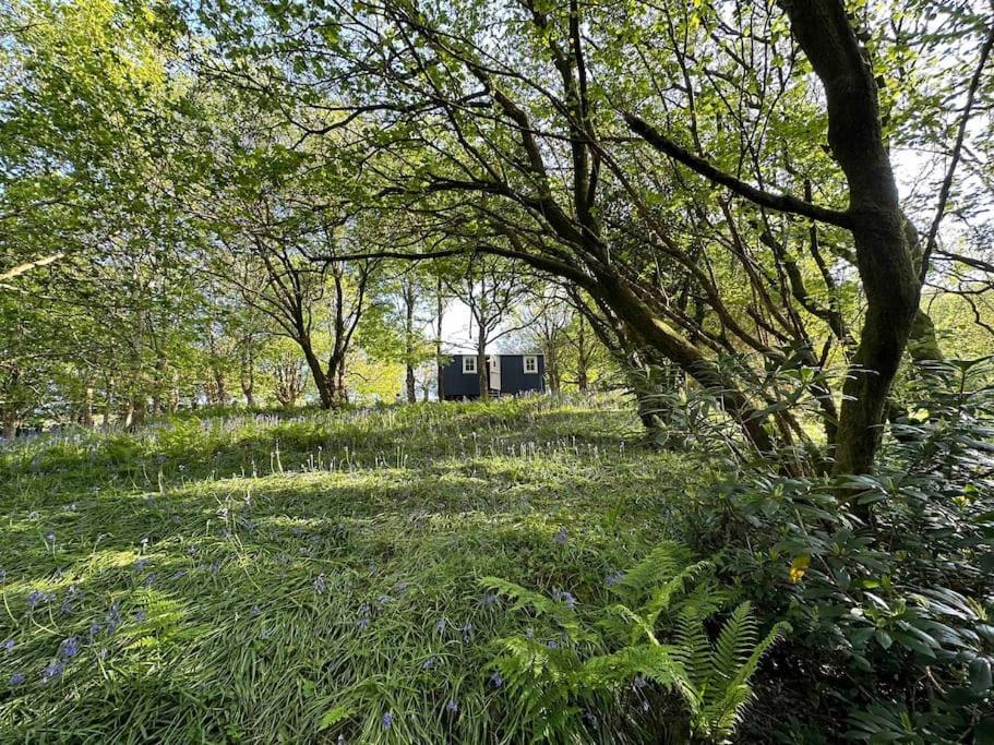 Cornwall Woodland Shepherd'S Hut - Dennis Hut Бодмин Екстериор снимка